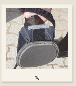 Bild: Hufschuh Pony Spezial