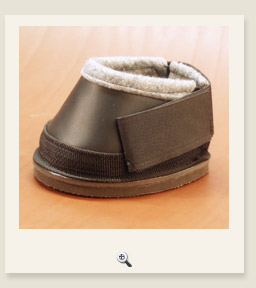 Bild: Hufschuh Pony Spezial