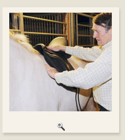 Bild Sattel aufpolstern